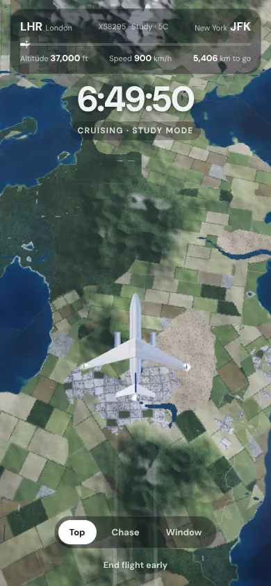 Top-down view of the plane over fields, forests and a town